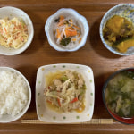 本日のお昼ごはん