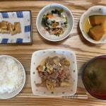 本日のお昼ごはん